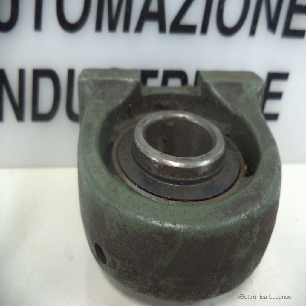 GBM-PA205-3 GBM-PA205-3